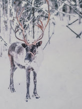 Load image into Gallery viewer, Reindeer winter scene sign, Christmas Decor, Christmas wood sign, Reindeer Picture, Christmas Print, Christmas Scene, Old Fashion Reindeer
