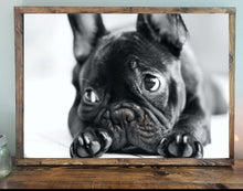 Load image into Gallery viewer, Custom Pet Portrait, Custom pet sign, Dog sign, pet gift, Personalized pet gift, pet decor, wood dog sign, gift for pet, French Bulldog

