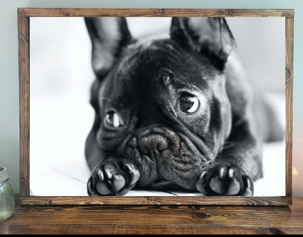 Custom Pet Portrait, Custom pet sign, Dog sign, pet gift, Personalized pet gift, pet decor, wood dog sign, gift for pet, French Bulldog